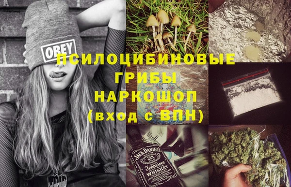 твердый Алексин